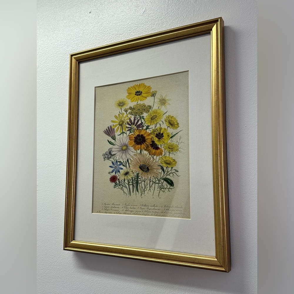 Floral Art Print in Gold Frame set of 2